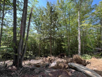 Lake Lot For Sale in Plymouth, Vermont