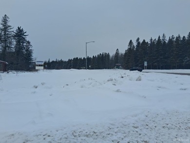 Lake Michigan - Mackinac County Lot For Sale in Naubinway Michigan