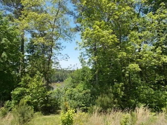 Come Build Your Dream Home! SOLD - Lake Lot SOLD! in Winnsboro, South Carolina