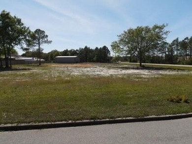 Don't miss this level, high and dry .51-acre corner lot at Hwy - photo 1