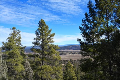El Vado Lake Acreage For Sale in Tierra Amarilla New Mexico