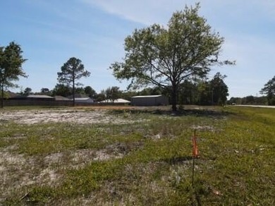 Don't miss this level, high and dry .51-acre corner lot at Hwy - photo 2