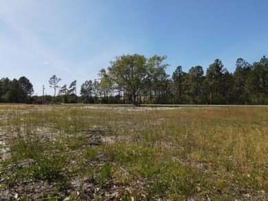 Don't miss this level, high and dry .51-acre corner lot at Hwy - photo 3
