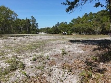 Don't miss this level, high and dry .51-acre corner lot at Hwy - photo 4