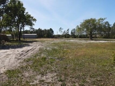 Don't miss this level, high and dry .51-acre corner lot at Hwy - photo 6