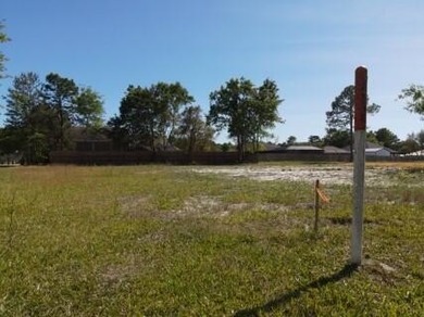 Don't miss this level, high and dry .51-acre corner lot at Hwy - photo 7
