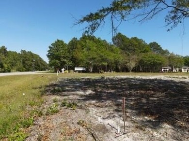 Don't miss this level, high and dry .51-acre corner lot at Hwy - photo 8