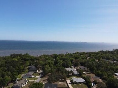Don't miss this level, high and dry .51-acre corner lot at Hwy - photo 10