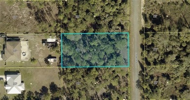 Lehigh Acres Area Lot For Sale in Lehigh Acres Florida