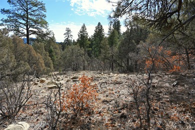 El Vado Lake Lot For Sale in Tierra Amarilla New Mexico