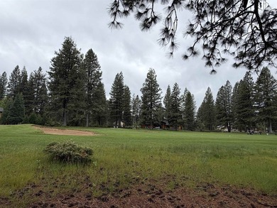 Beautiful golf course homesite located in the Bailey Creek - photo 2