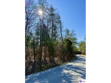 Welcome to 7.93 breathtaking acres in Poplar Ridge Subdivision - photo 15