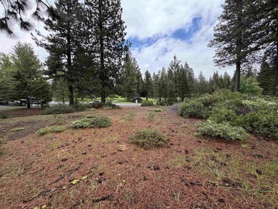 Beautiful golf course homesite located in the Bailey Creek - photo 3