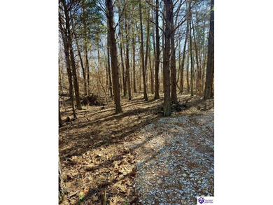 Welcome to 7.93 breathtaking acres in Poplar Ridge Subdivision - photo 16