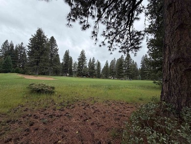 Beautiful golf course homesite located in the Bailey Creek - photo 4
