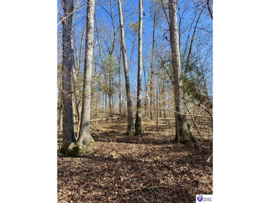 Welcome to 7.93 breathtaking acres in Poplar Ridge Subdivision - photo 18