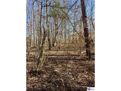 Welcome to 7.93 breathtaking acres in Poplar Ridge Subdivision - photo 19