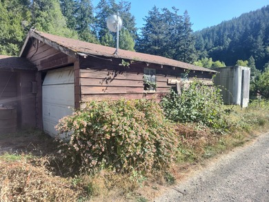 Lots of opportunity with this property located in Suntan Glen - photo 19