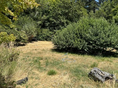 Lots of opportunity with this property located in Suntan Glen - photo 21
