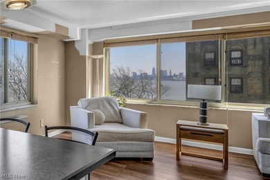 Major Price Improvement! Experience life above it all in Marine - photo 10