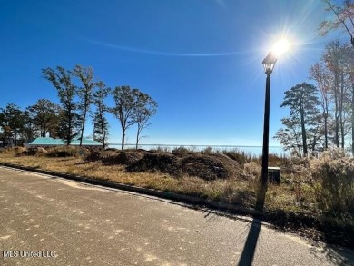 Lake Lot For Sale in Madison, Mississippi