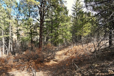 El Vado Lake Lot For Sale in Tierra Amarilla New Mexico