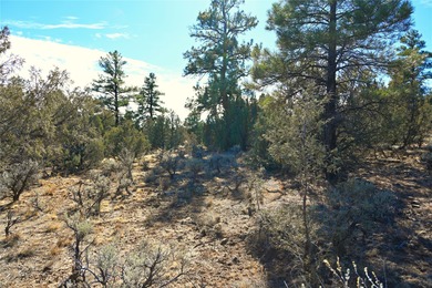 El Vado Lake Lot For Sale in Tierra Amarilla New Mexico