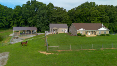 MINI FARM IN THE HEART OF DUMPLIN VALLEY! - photo 2