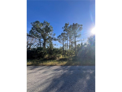 Lehigh Acres Area Lot For Sale in Lehigh Acres Florida