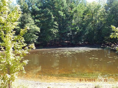 (private lake, pond, coastal) Acreage For Sale in Lancaster South Carolina