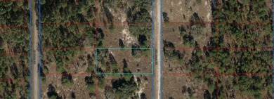 Bonable Lake Lot For Sale in Dunnellon Florida
