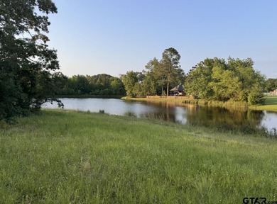 (private lake, pond, coastal) Acreage For Sale in Mount Pleasant Texas