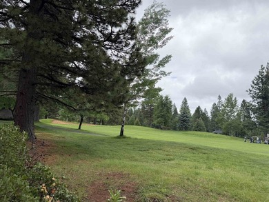 Build your dream home on this beautiful Bailey Creek Golf Course - photo 3