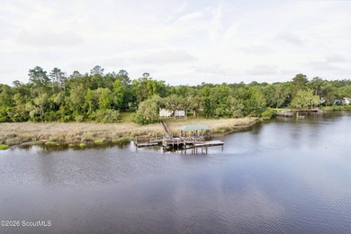 Rare deepwater opportunity on Waverly Creek at historic Old Red - photo 4