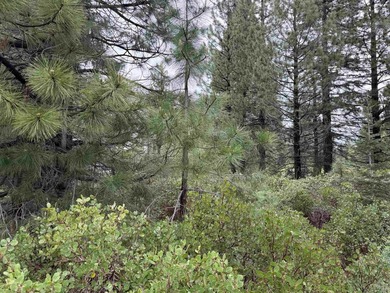 Build your dream home on this beautiful Bailey Creek Golf Course - photo 4