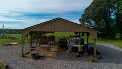 MINI FARM IN THE HEART OF DUMPLIN VALLEY! - photo 8
