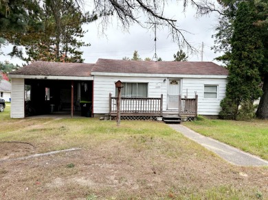 Lake St Helen Home For Sale in Saint Helen Michigan