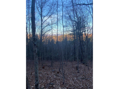 (private lake, pond, creek) Acreage For Sale in Scaly Mountain North Carolina