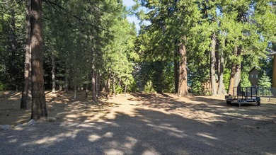 Excellent Lake Almanor Country Club location- Steps to Clubhouse - photo 1