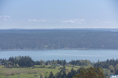 UNOBSTRUCTED salt water views from this 1.21 acre rare flat lot - photo 3