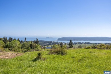 UNOBSTRUCTED salt water views from this 1.21 acre rare flat lot - photo 5