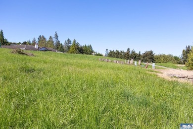 UNOBSTRUCTED salt water views from this 1.21 acre rare flat lot - photo 6
