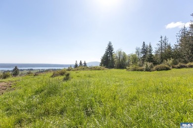 UNOBSTRUCTED salt water views from this 1.21 acre rare flat lot - photo 7