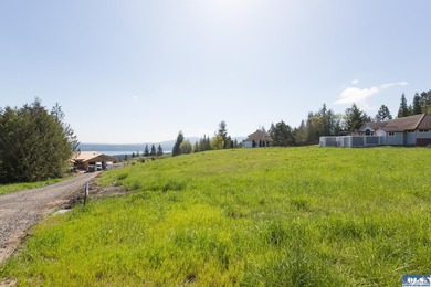 UNOBSTRUCTED salt water views from this 1.21 acre rare flat lot - photo 8