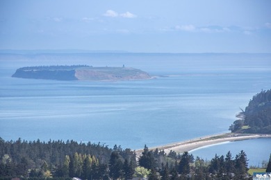 UNOBSTRUCTED salt water views from this 1.21 acre rare flat lot - photo 9