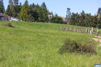 UNOBSTRUCTED salt water views from this 1.21 acre rare flat lot - photo 10