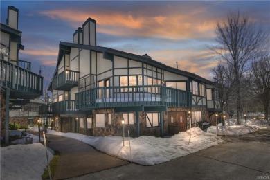 Lake Condo For Sale in Big Bear Lake, California