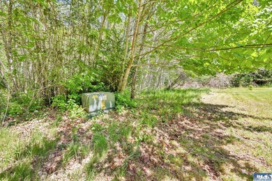 Thoughtfully stewarded under a conservation easement with North - photo 5