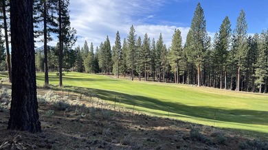 Beautifully treed, gently sloping 1.02 acre homesite with - photo 1