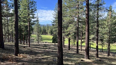 Beautifully treed, gently sloping 1.02 acre homesite with - photo 2